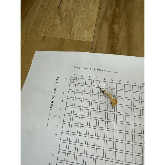 Wait by Why Store Life Calendar - Picture 6 of 11